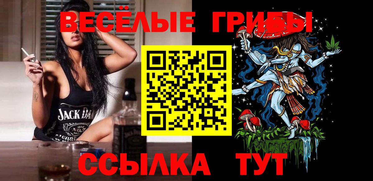 Псилоцибиновые грибы GOLDEN TEACHER  Галлюциногенные грибы мухоморы  Мыски  Вход с VPN 