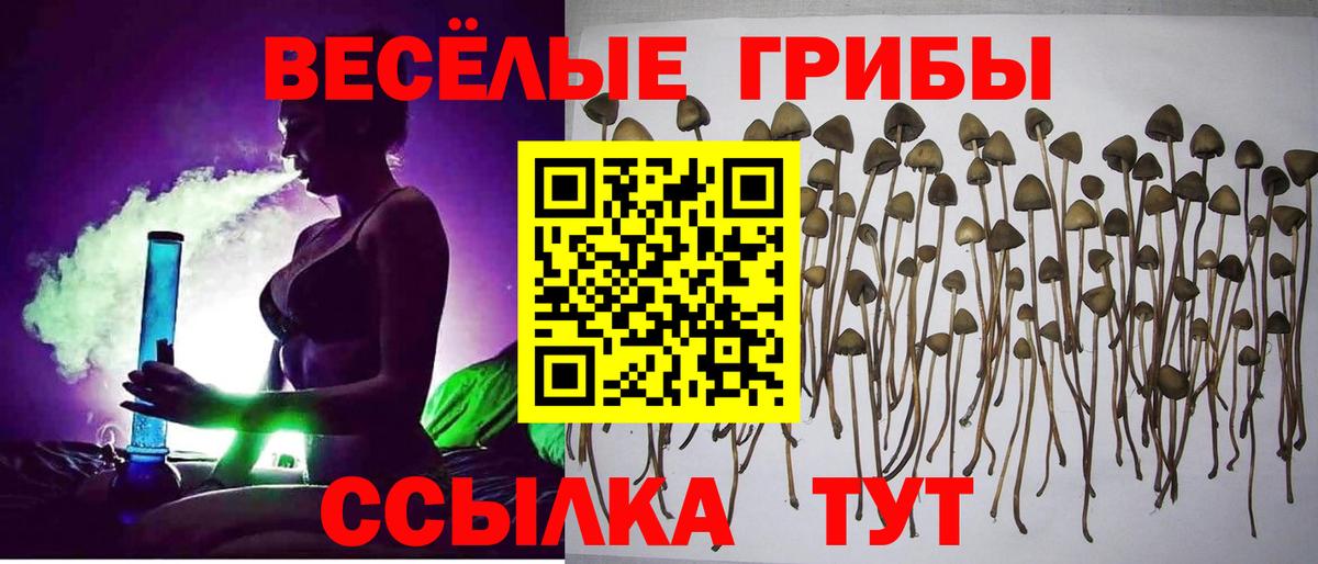 Галлюциногенные грибы MAGIC MUSHROOMS Мыски